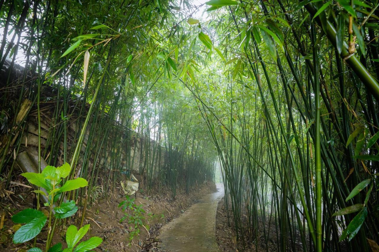 Hoa Chanh Homestay