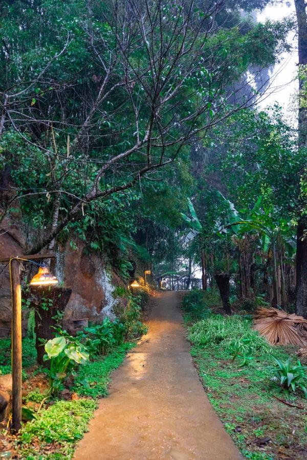 Hoa Chanh